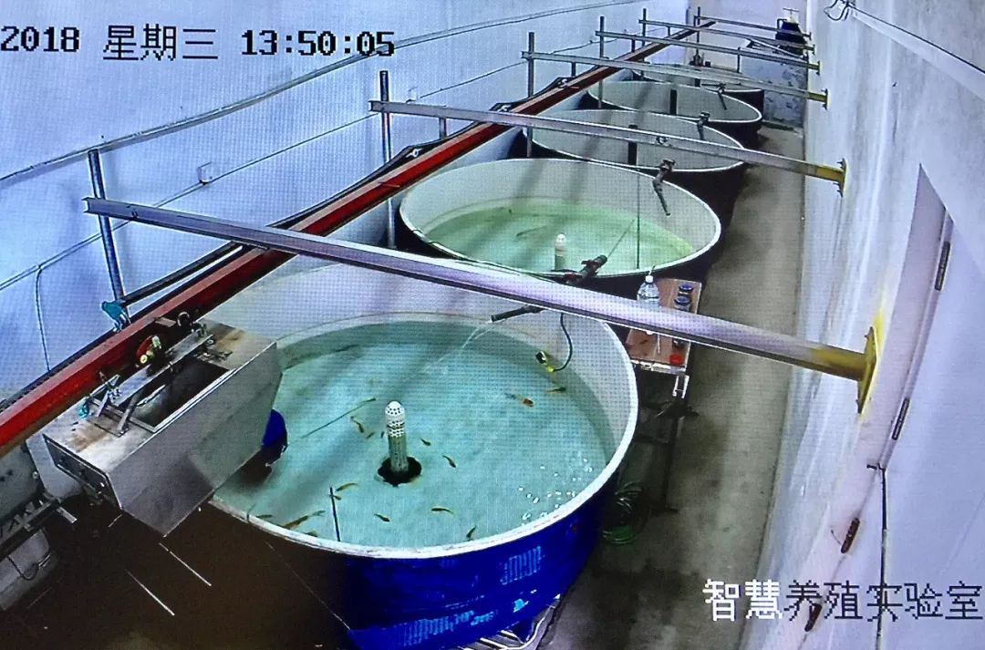 全国媒体看烟台!海洋强市的“烟台范儿”占据头条!