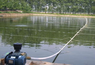 您还在为养殖过程中的氨氮超标头疼不已吗