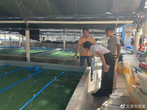 海南文昌市团委到会文镇烟堆村调研水产养殖产业及乡村振兴工作