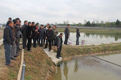 专家来武汉虾龙水产养殖开发开展龙虾养殖技术研发工作