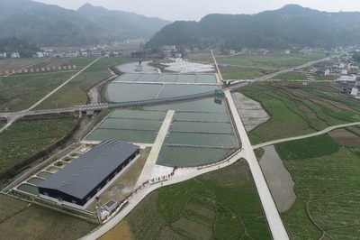 创展现代渔业产业园,推动渔业发展转型升级,助力乡村全面振兴