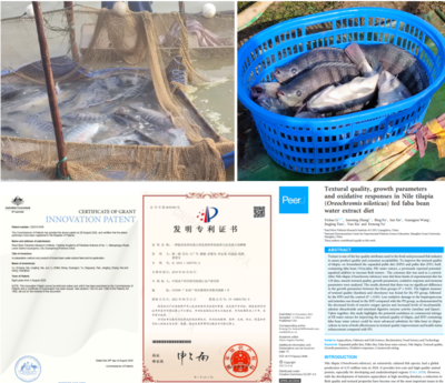 中国水产科学研究院珠江所养殖室团队研发成果助推脆肉罗非鱼产业发展