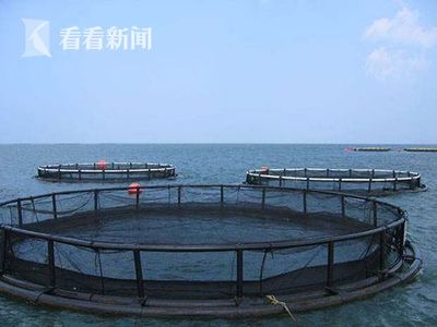 上海研发深远海养殖工船 未来可培育品质接近野生的海鱼