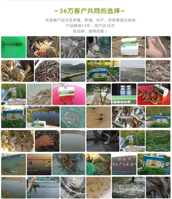 益生菌养虾技术就用农富康水产em养殖益生菌