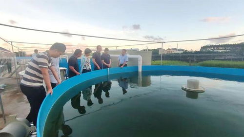 技术大拿间的 梦幻联动 海之味与集美大学水产学院达成战略合作,开启牛蛙技术研发新篇章