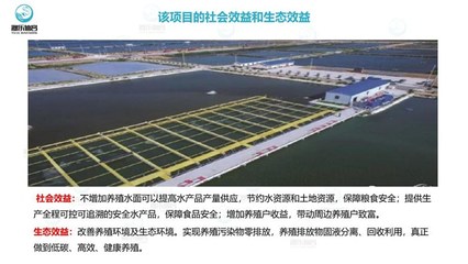 工厂化养鱼-智慧农研(在线咨询)-工厂化循环水养鱼