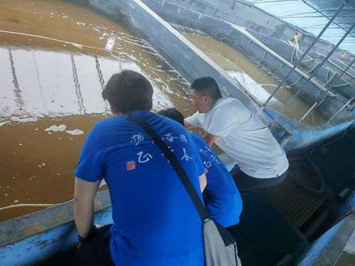 智养科技 为养殖尾水处理装上 智慧大脑