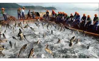 专访卓振智能蔡成想 增氧机控制器让水产养殖具有智慧