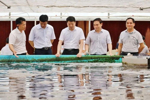农业农村部部署推进水产绿色健康养殖技术推广 五大行动