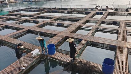 渔极鲜首家线下品牌店盛大开业,助力地方产业发展与乡村振兴