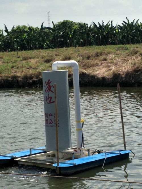 创洋池塘底部增氧机 科技让水产养殖更省心