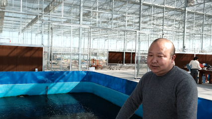 养鱼不换水 种菜不施肥 一水双收效益高