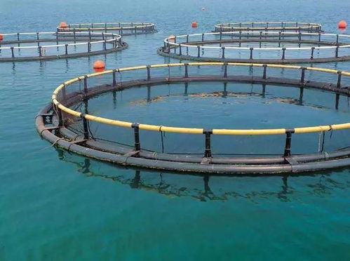 高考放榜 大厂大裁员,水产企业疯狂抢人 年薪百万不是梦 填志愿别错过了水产专业