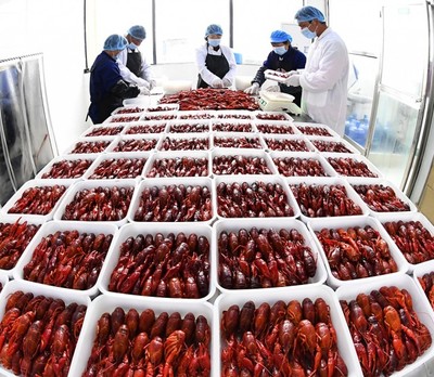 【新时代 新作为 新篇章】城市新青年:我们,正青春!