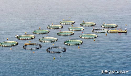 智慧水产养殖,开启养殖模式新时代