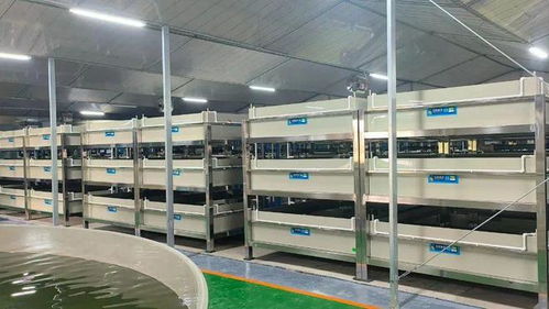 今年养啥最赚钱 deepseek和联塑带你揭秘水产养殖新风口