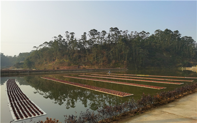 市中区:专业指挥部“夯基” 园区建设出彩出效