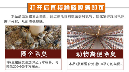 快速降低鸡圈臭味氨气用什么药好对鸡没危害