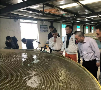 学习借鉴 | 72街餐饮集团组织团队莅临仙泉湖养殖基地参观指导!