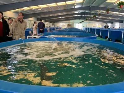 最高规格!广东渔业种业大阅兵来了,谁是十大名优品种?