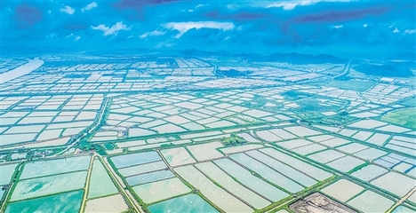 我市又一项省重点领域研发计划项目落地实施 助推水产养殖朝工业化方向发展