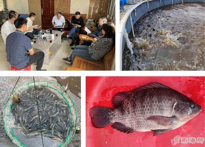 南海所“高密度对虾+海水罗非鱼异位串联的生物絮团零换水养殖技术”试验示范通过测产验收