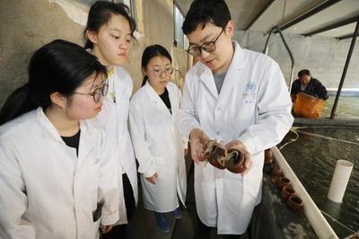 连云港赣榆建立国内首个短蛸繁育养成体系