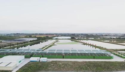 犀利!肇庆这两个地方入选省级名单~