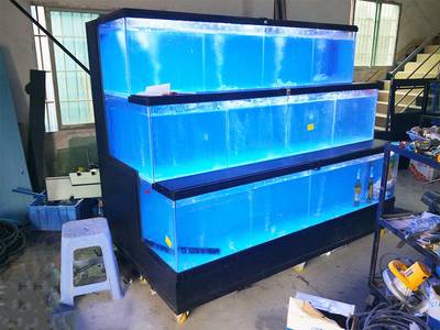 超市海鲜池制作_新型海鲜池_北京超市海鲜池