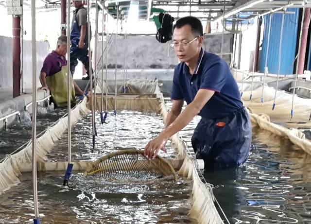 在假期,新型“职业农民”是怎么养鱼的?