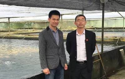 独辟蹊径瞄准锦鲤饲料 江门新健饲料挤进全国前五名_饲料专题(水产饲料)_中国水产养殖网