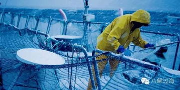 先进水产养殖技术及设备之网箱水产养殖