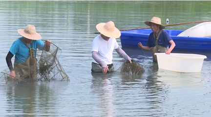 市创新发展中心:科技助农 推进水产产业链绿色发展