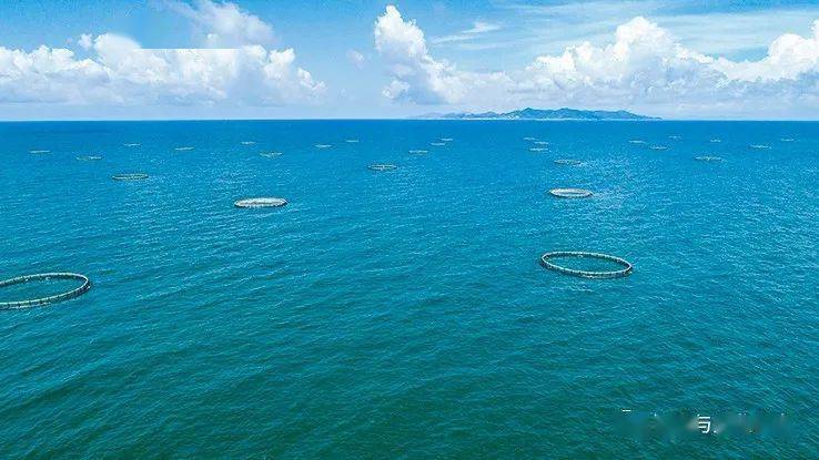 “十三五”广东渔业 走出生态绿色渔业发展新路子