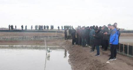 火爆!现场定苗8000斤,十几年扣蟹养殖户:瑞沣苗,良心苗,丰收苗!