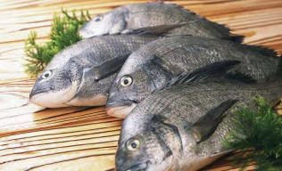 水产品中应检测哪些违规药品