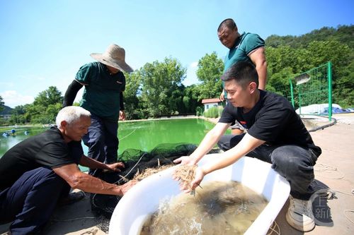 重庆巴南 水产养殖助增收
