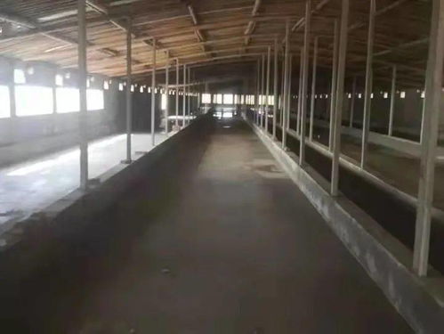 中共田黄镇委员会 田黄镇人民政府给您拜年啦