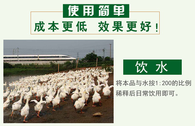喂鸭em菌剂哪种成本低鸭子长的好成活率高