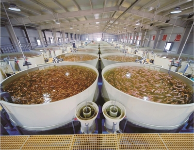 山东省大数据局 枣庄 数据要素×丨峄城区古邵镇:数据赋能 打造智慧化水产养殖新模式