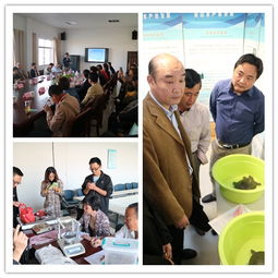 展渔民养殖成果,推绿色水产养殖 上海市金山区举办首届水产养殖丰收节