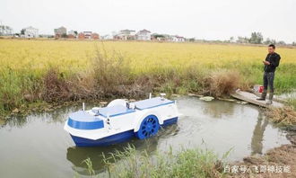 江苏这个小伙厉害了,喂养水产用上 无人船 ,拿着手机等丰收