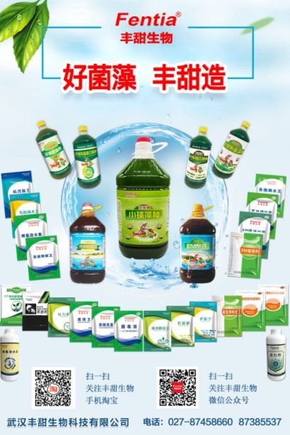 水产养殖博览会新亮点呈现