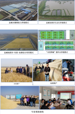 中国水产科学研究院东海所牵头的蓝色粮仓重点专项课题“盐碱水质综合改良调控技术研发与养殖模式构建”开展2020年度现场验收