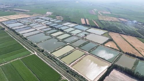 南鳞北育添新族 丰盈鱼市增收益