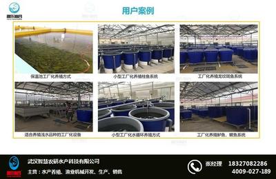 工厂化养鱼技术 工厂化养鱼 智慧农研(推荐商家)
