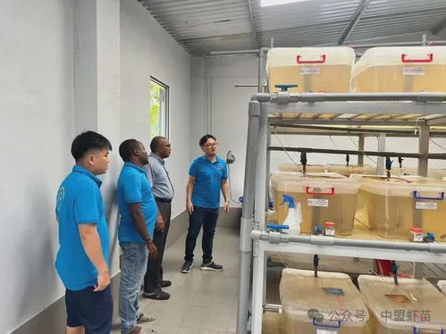 水产养殖界又出新利器 原来从椰子提取的这东西,作用原来这么大