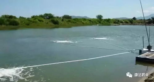 康洁r原创告诉您 池底缺氧的七大原因及防护措施
