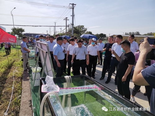 新品种青虾 太湖2号 在全国水产绿色健康养殖技术推广 五大行动 现场观摩活动中展