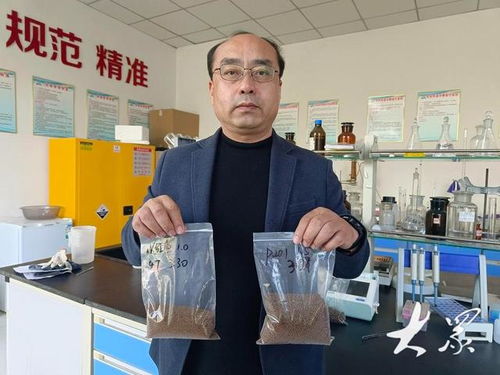 新型饲料助力养殖成本降低，农家乐休闲观光服务展现农业新动能